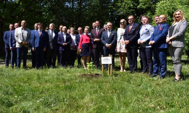 radni Rady Miasta Suwałki zasadzili w Paru Konstytucji 3 maja Dąbek Wolności II