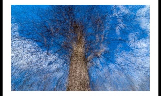 prace suwalskiego fotografika Piotra Bułanowa w ogrodzie zimowym Rozmarino