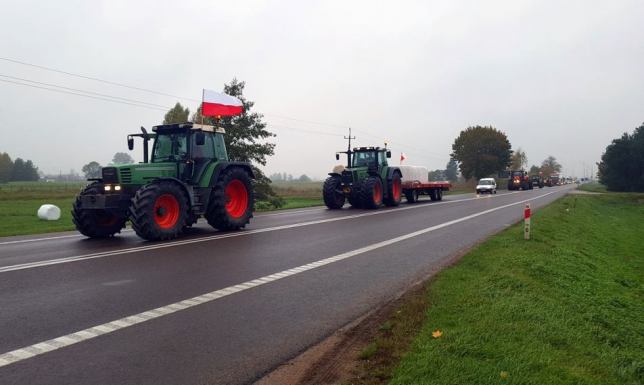 Kolumna ciągników na trasie Szypliszki-Suwałki Protest rolników w Suwałkach i Szypliszkach