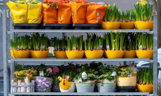 Zamysł jest podobny do formuły Pchlego Targu