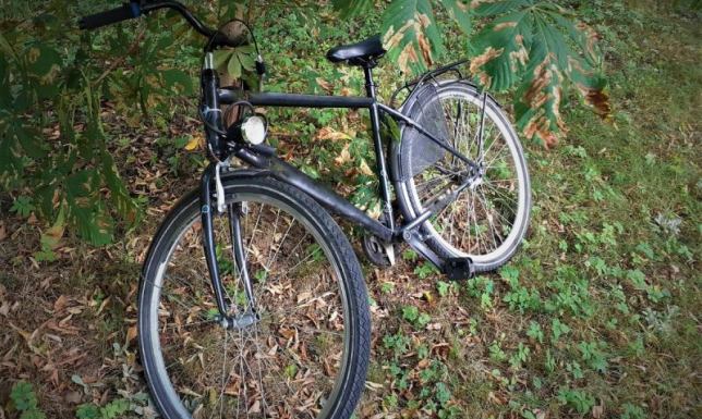 10-latek ukradł rower, po czy porzucił go w krzakach Teraz losem chłopca zajmie się sąd rodzinny