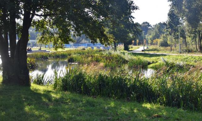radni zajęli się tematem ginącej rzeki Czarna Hańcza