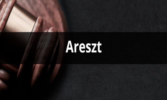 Przesyłanie pornografii i nakłanianie do czynności seksualnej małoletnich - aresztowano 2 mężczyzn Dwóch mężczyzn zostało tymczasowo aresztowanych przez Sąd