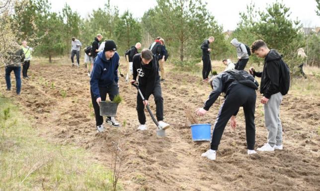 Dwudniowa akcja sadzenia sadzonek drzew leśnych w Suwałkach