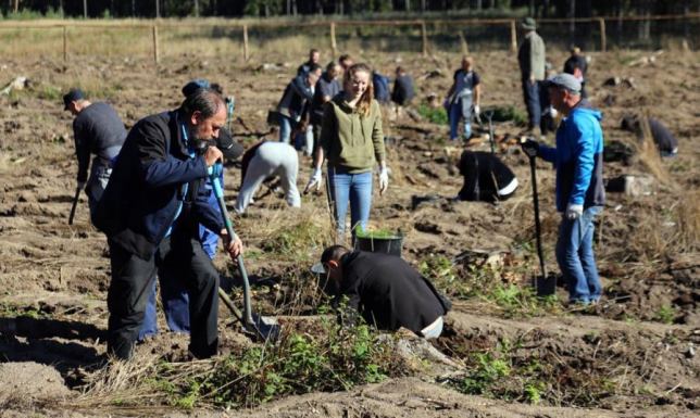 piąta edycja akcji sadzenia lasu, CAL prawdziwe drzwi