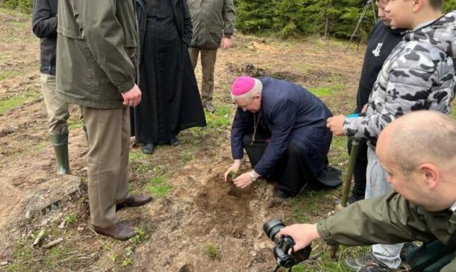 W Nadleśnictwie Augustów posadzono Las Pamięci im. Jana Pawła II Las Pamięci im. Jana Pawła II w Nadleśnictwie Augustów