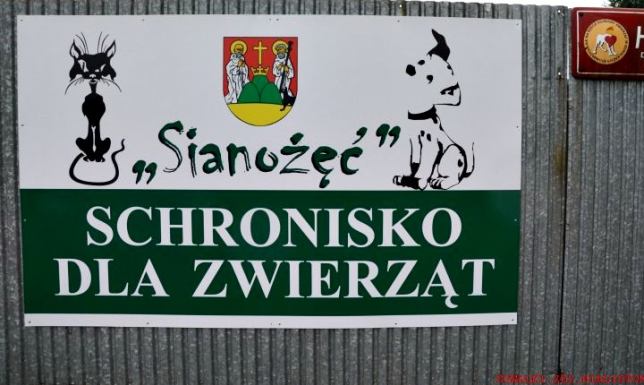 spotkanie w Schronisku Sianożęć z udziałem wszystkich chętnych radnych