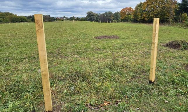 teren nie jest jeszcze uzbrojony, brakuje przyłączy i oznaczeń geodezyjnych