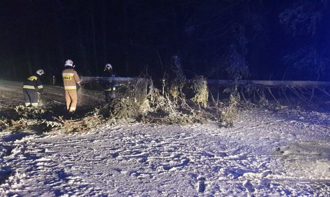 49 strażackich interwencji w powiecie suwalskim Skutki silnych wiatrów i obfitych opadów śniegu w powiecie suwalskim