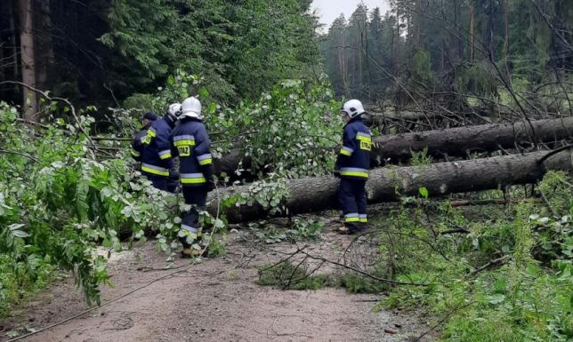 37 strażackich interwencji na terenie powiatu suwalskiego strażacy jednostek ochrony przeciwpożarowej z powiatu suwalskiego interweniowali 37 razy