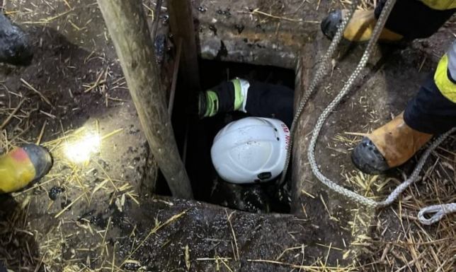 Nietypowe interwencje suwalskich strażaków