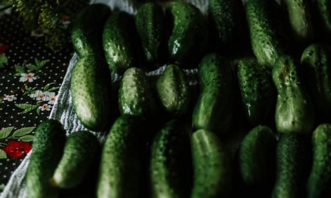 Kalendarz sezonowego przetwórstwa - kiedy jest czas na kiszonki? Kalendarz sezonowego przetwórstwa - kiedy jest czas na kiszonki?