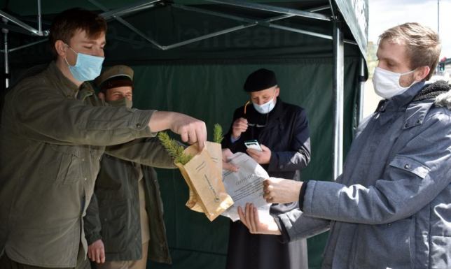 Nadleśnictwo Suwałki rozdało sto sadzonek świerku