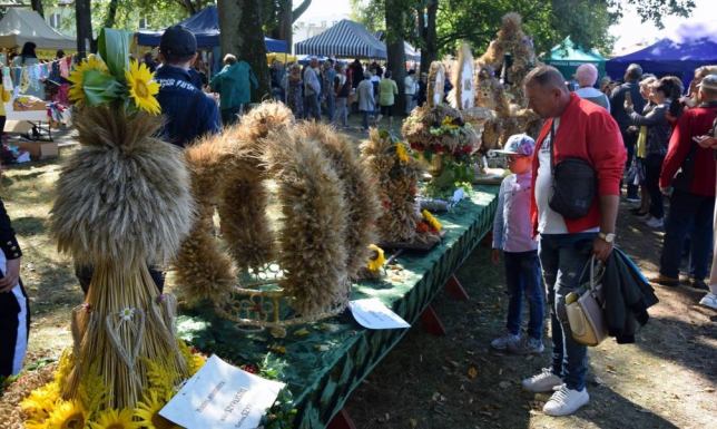 Święto Plonów w Dowspudzie Dożynki Powiatu Suwalskiego i Gminy Raczki