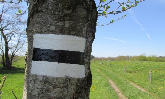 Szlaki piesze na terenie SPK zostały odnowione Suwalski Park Krajobrazowy, odnowienie pieszych szlaków