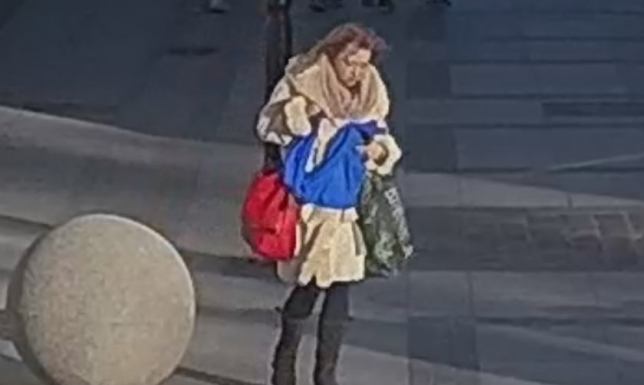 poszukują kobiety mogącej mieć związek z kradzieżą tablic informacyjnych