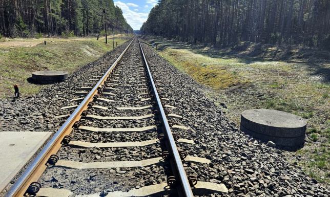 komunikacja zastępcza między Polską i Litwą