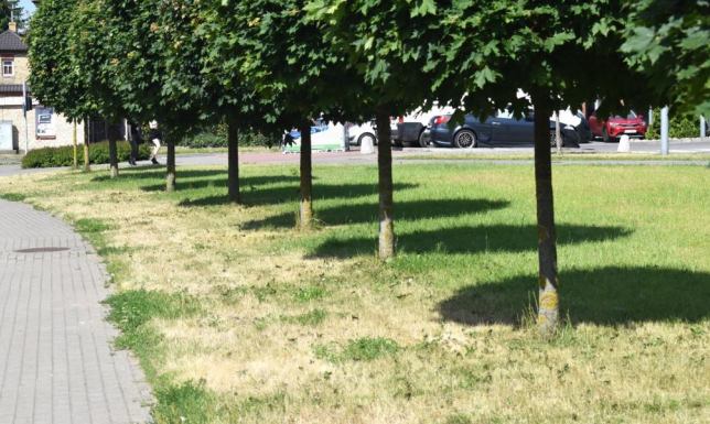 skarga suwalskich aktywistów z grupy "Zielone Suwałki" na miejskie służby