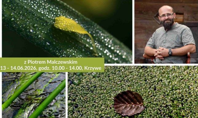 warsztaty z Piotrem Malczewskim „Zieleń w obrazie – myślenie kolorami"