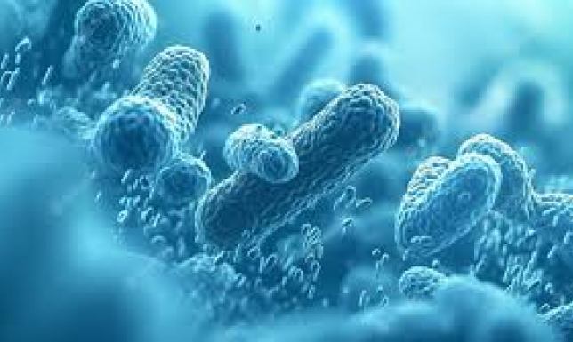 w nawiązaniu do odnotowanych w Rzeszowie przypadków zakażenia bakterią Legionella