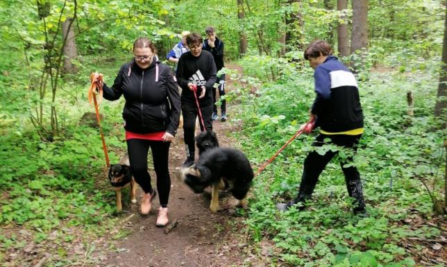 Wolontariusze z wizytą w schronisku Wizyta studyjna w Pensjonacie dla zwierząt „Cyganowo"