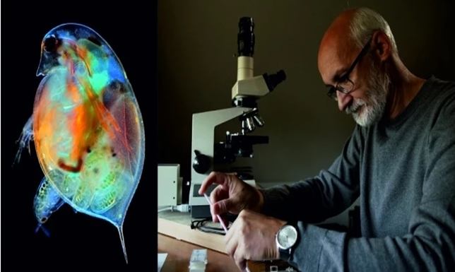  zajrzymy przez mikroskop do niezwykłego mikroświata jezior Wigierskiego Parku Narodowego