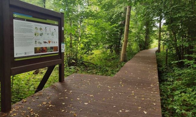 WPN bardziej dostępny dla osób ze specjalnymi potrzebami Wigierski Park Narodowy otrzymał dofinansowanie z projektu „Obszar chroniony, obszar dostępny”