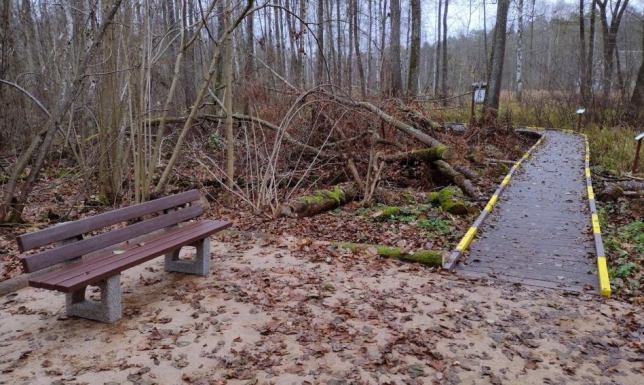 Powstaje trasa dla osób ze specjalnymi potrzebami Wigierski Park Narodowy dostępny dla osób ze specjalnymi potrzebami
