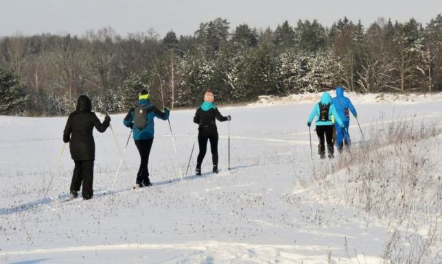 Na dwa wydarzenia zaprasza Wigierski Park Narodowy