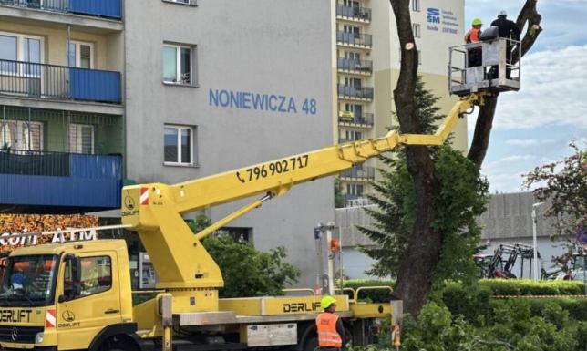 decyzja o usunięciu drzewa została podjęta ze względów bezpieczeństwa