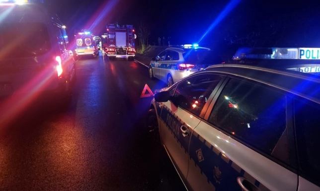 Chcąc uniknąć zderzenia z sarną kierowca zjechał na przeciwległy pas