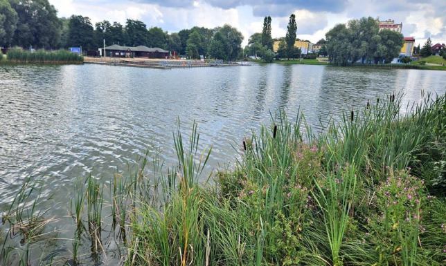 dzieci i młodzież poznają atrakcje turystyczne województwa podlaskiego