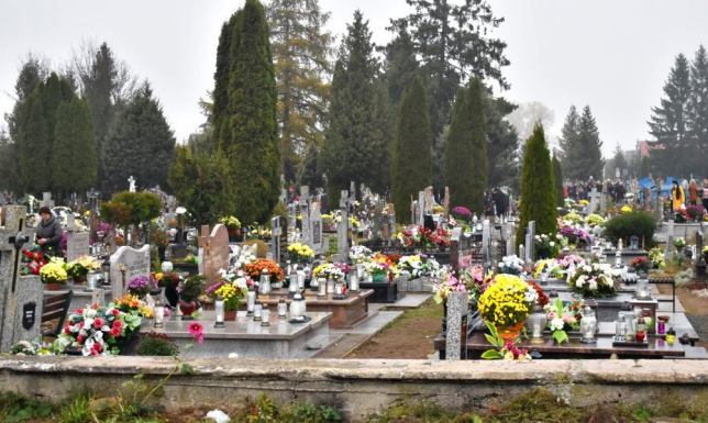  niewielkie płyty nagrobne wkomponowanie w naturalną zieleń