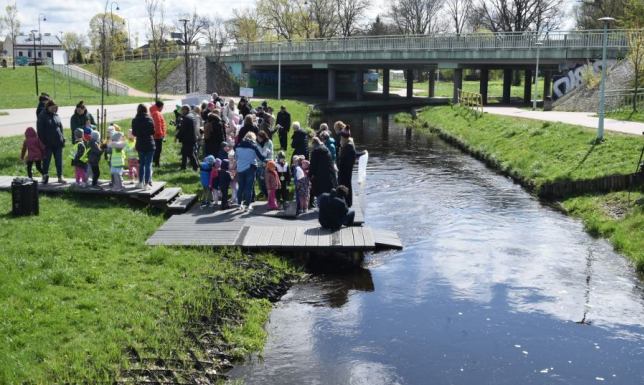 do wody zostanie wpuszczonych około 2000 pstrągów potokowych