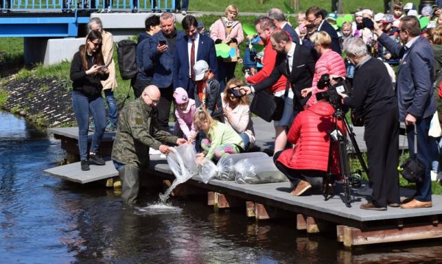 200 sztuk pstrąga potokowego trafiło w piątek (21.04) do Czarnej Hańczy