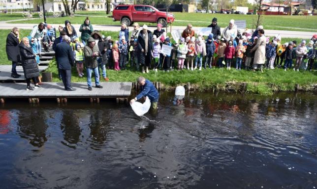  do Czarnej Hańczy trafiło 40 tysięcy sztuk narybku pstrąga potokowego