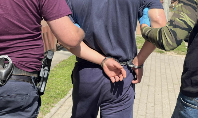 zarzuty uszkodzenia mienia i kradzieży w warunkach recydywy