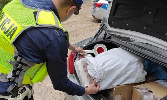 1300 paczek nielegalnych papierosów w bagażniku