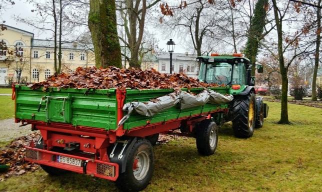 Koszenie trawników, porządkowanie rabat i żywopłotów oraz przycinanie drzew