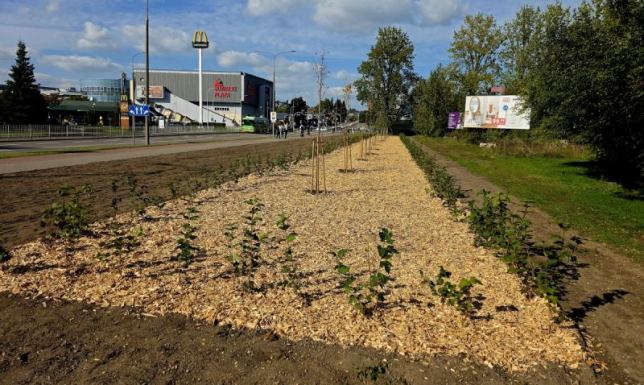 Dobiegają końca prace przy kolejnych etapach projektu „Zielone Suwałki”
