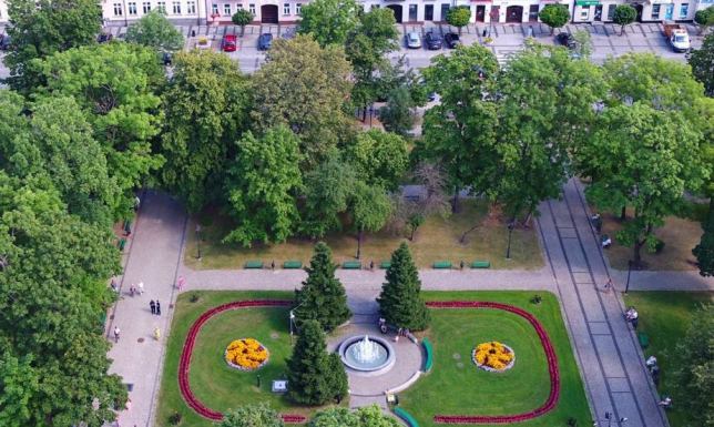 Powstał Zielony Budżet Obywatelski Nowa kategoria pojawi się w 2022 roku w Suwalskim Budżecie Obywatelskim