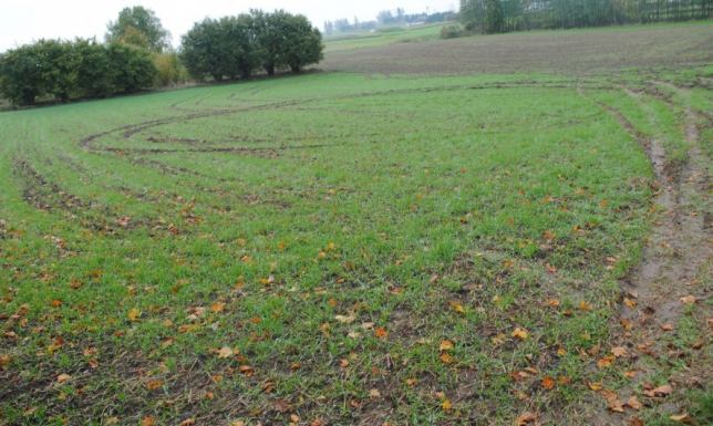 Jeździł po polu szwagra niszcząc rośliny Zatrzymany za jazdę polem