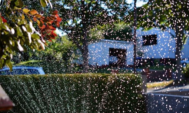 Co z kurtynami wodnymi w czasie upałów? możliwość ustawienia w mieście mgławic i kurtyn wodnych