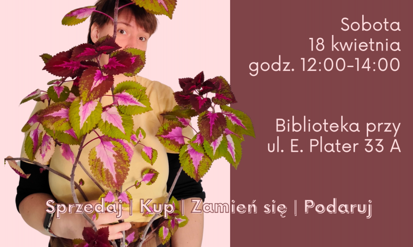 Zamysł jest podobny do formuły Pchlego Targu