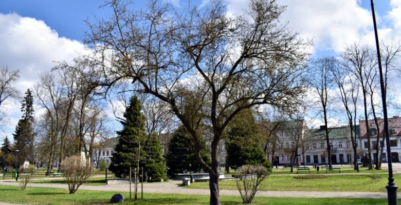Płoszenie ptaków przy użyciu huków nie odstraszyło wron