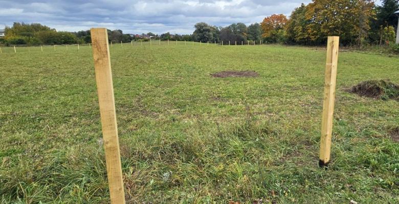 teren nie jest jeszcze uzbrojony, brakuje przyłączy i oznaczeń geodezyjnych