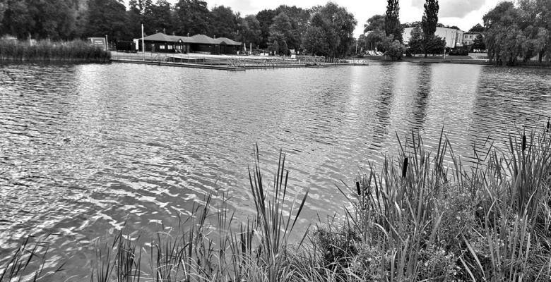 Do zdarzenia doszło w środę przed godziną 16.00 na plaży