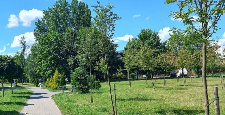 Miasto Suwałki ogłosiło postępowania na realizację dwóch nowych przestrzeni rekreacyjnych