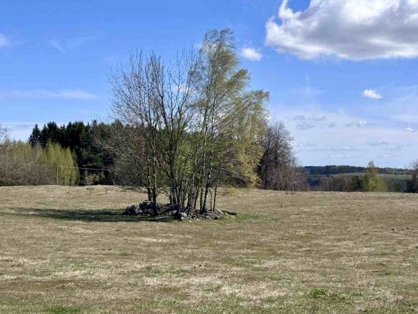 Wyjątkowa działka rolna z własnym lasem i oczkiem wodnym – Malesowizna