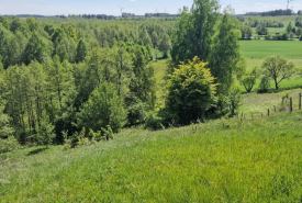 Wyjątkowa działka rolna z własnym lasem i oczkiem wodnym – Malesowizna